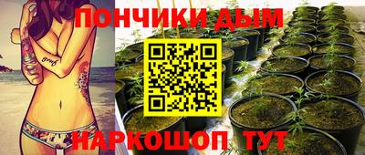 соль ск Усть-Илимск